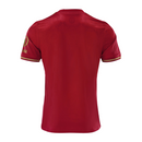 Camisa Bayern Munich Aniversário 25/26 Torcedor